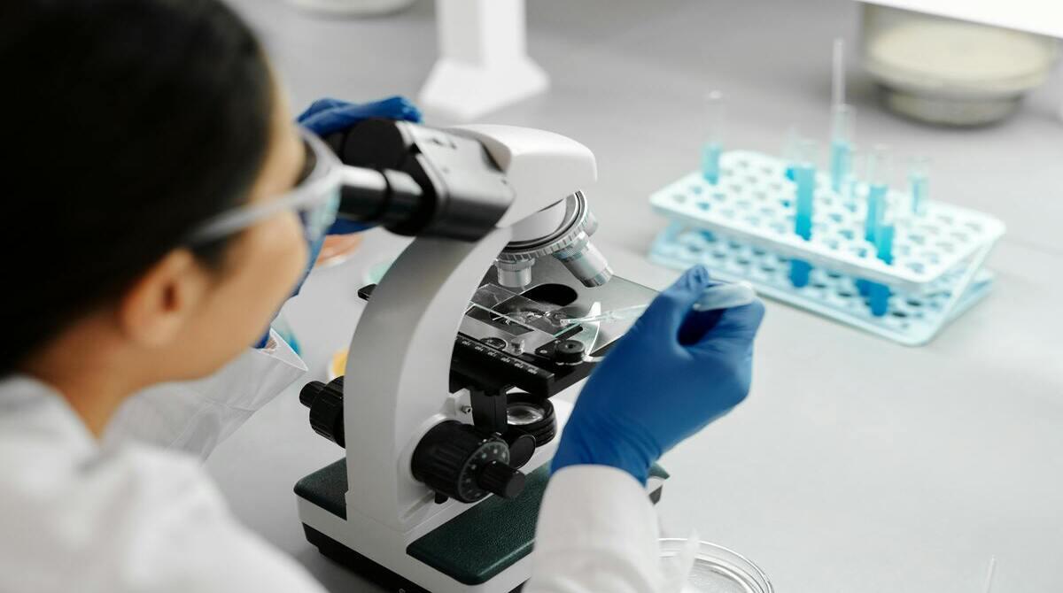 Should Genetic Editing Be Allowed to Eradicate Hereditary Diseases in Humans?