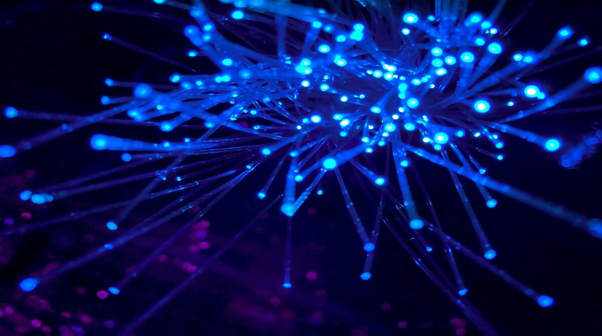 Should internet service providers be required to treat all data on the internet equally, without prioritizing or blocking particular content or platforms?