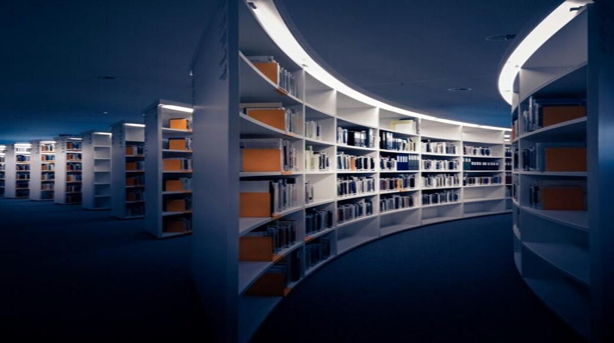 Should public libraries invest more in digital resources than in physical books?