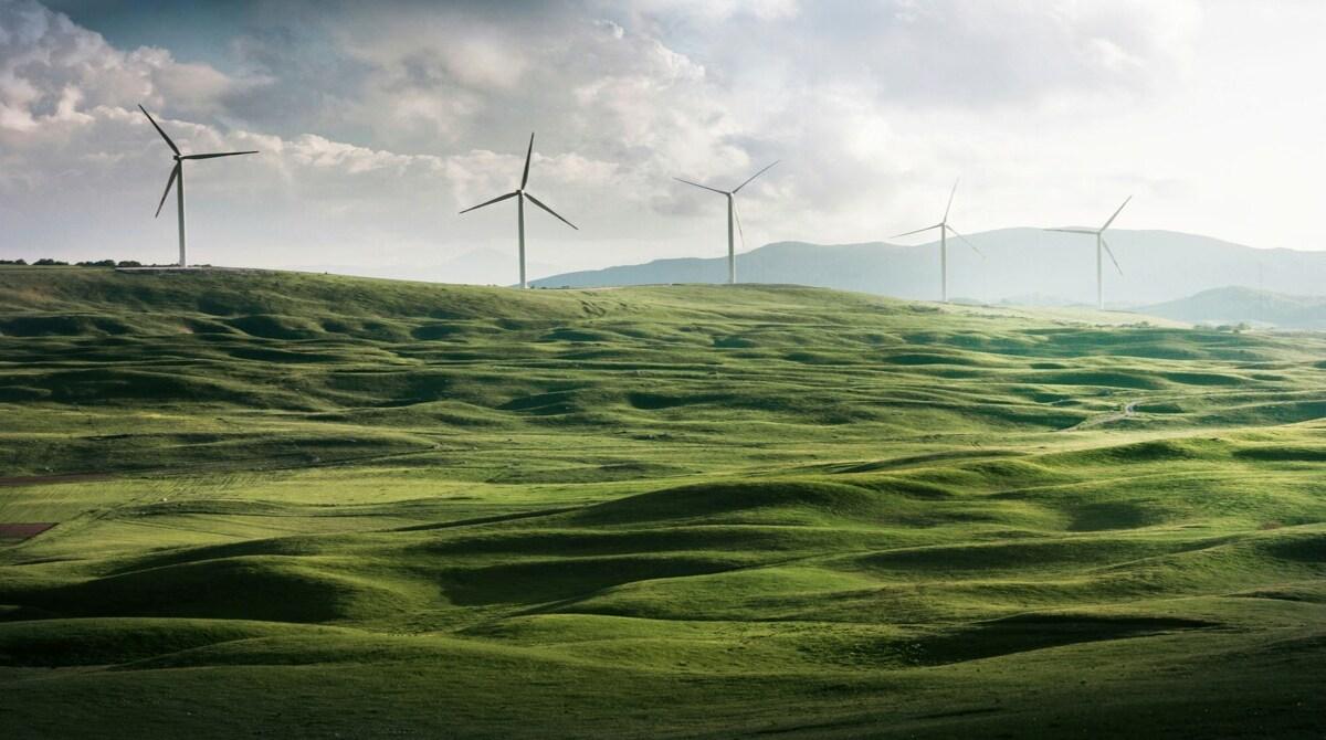Should governments mandate a shift to 100% renewable energy sources by 2030?