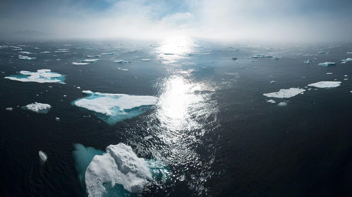 Is Climate Change the Most Pressing Global Issue Today?