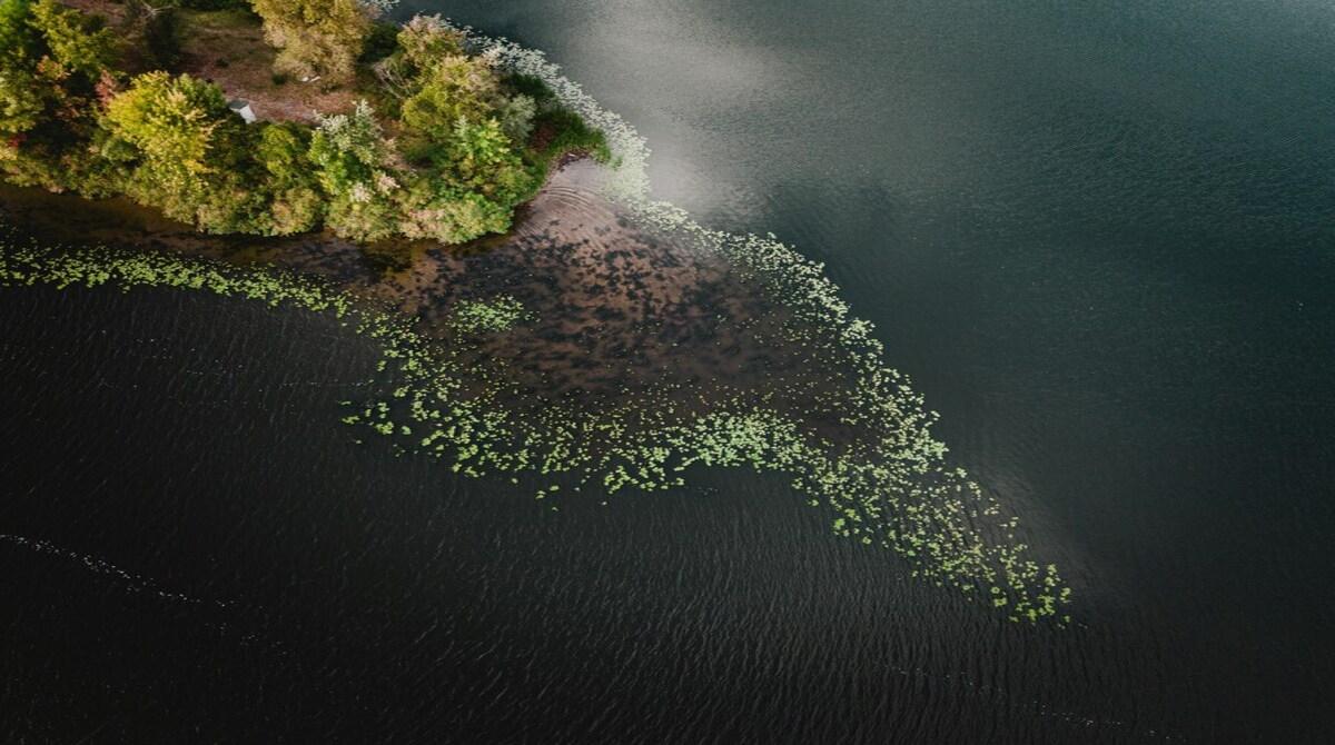 Should There Be Legal Rights for Ecosystems (e.g., rivers, forests)?