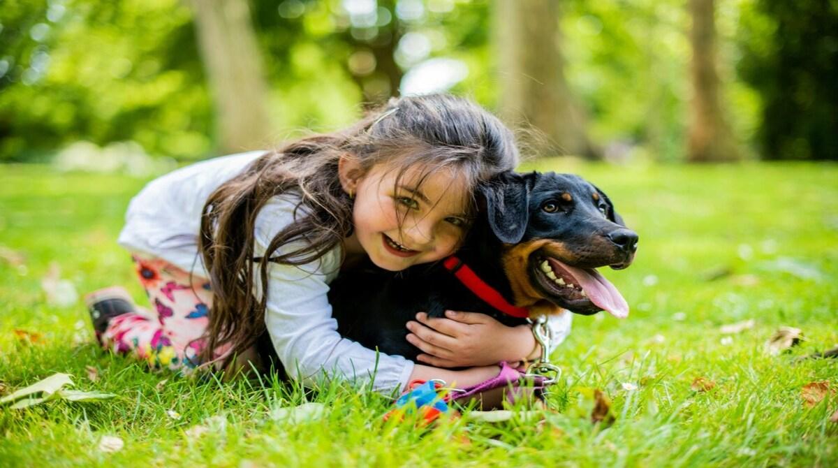 Should children need to take care of an animal from a young age?