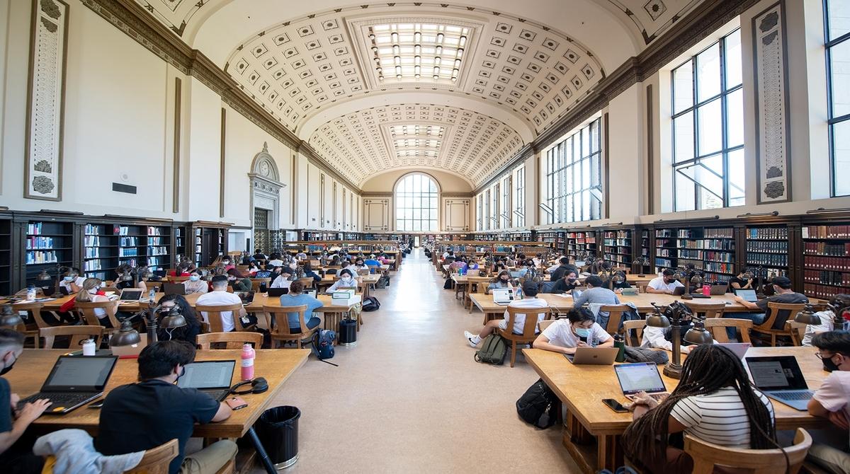Are University degrees and courses really useful for your future job?