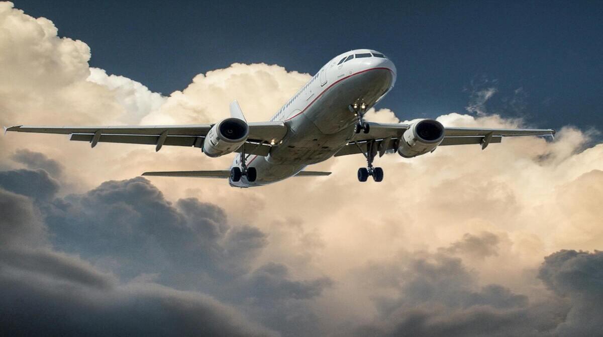 Would It Benefit Society To Limit Individual Travel?