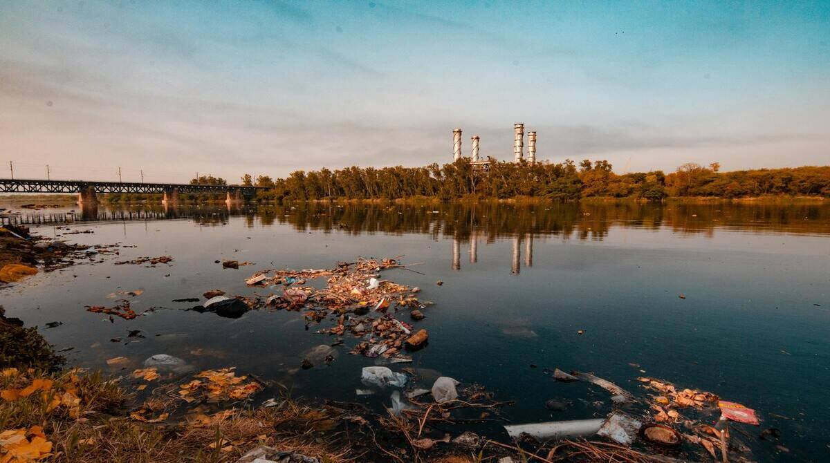 Should Companies Be Forced To Pay Reparations For Their Environmental Damage?