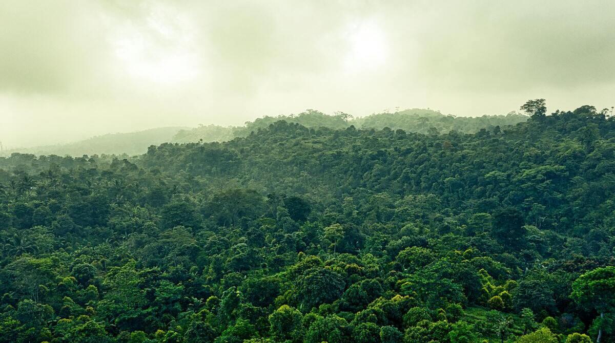 Should Land Development Projects Be Halted Or Adjusted When They Threaten Endangered Species' Habitats?